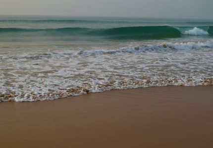 dilip poddar yhlelf4qglu unsplash